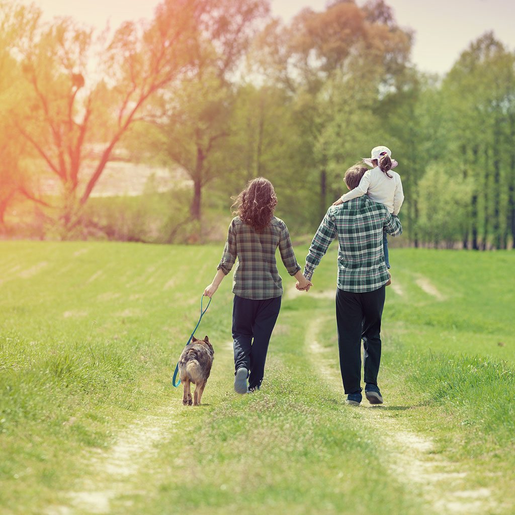 couple walking with daughter and dog in open field - Finnigan's Run Farm